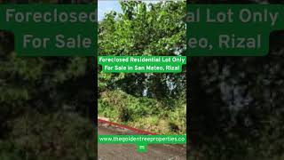 Foreclosed Residential Lot Only For Sale in San Mateo, Rizal