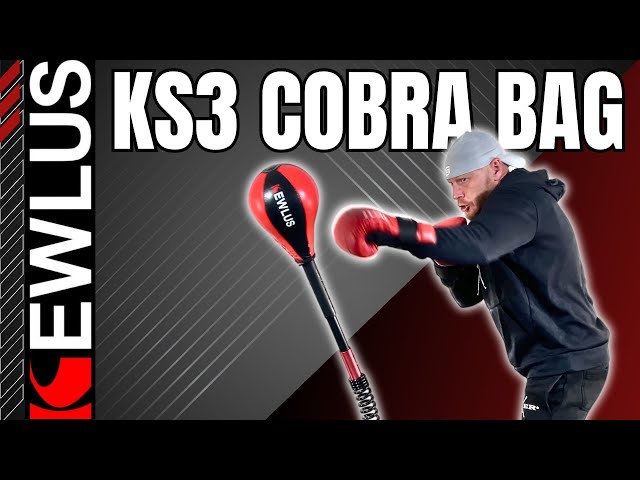 Cobra Bag Training: 10 Tips for Getting Started – Kewlus