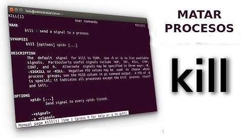 [Tutorial for Newbies] Matar procesos