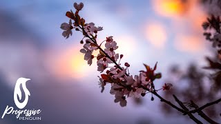 Atmospherika - Cherry Blossoms (Extended Mix)