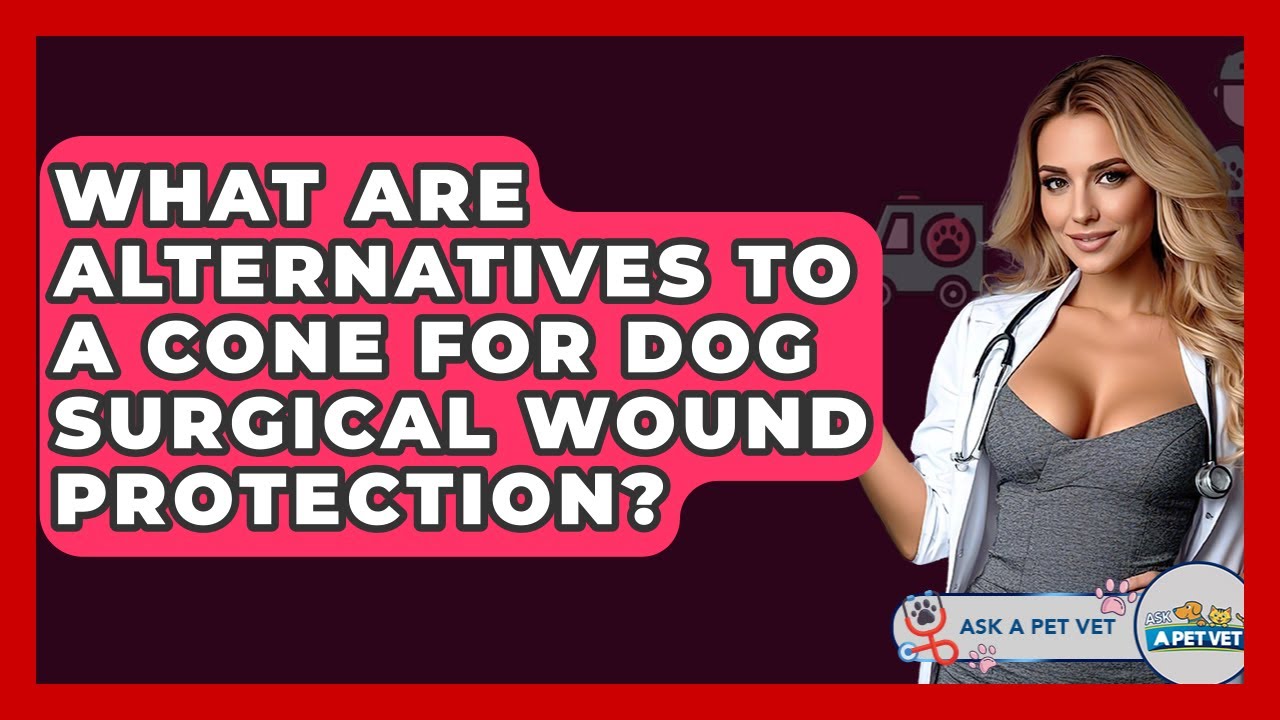 What Are Alternatives To A Cone For Dog Surgical Wound Protection? - Ask A Pet Vet
