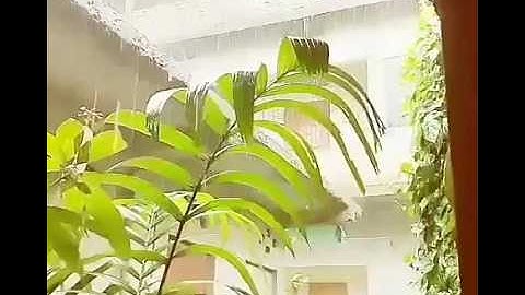 Coolpad Note 3 | slow motion | rain shots