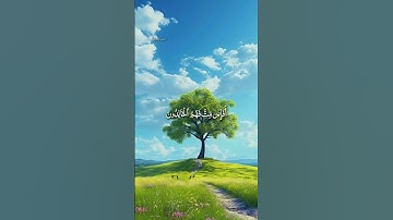 #سورة_الأنبياء #quran #islam #قرآن #القرآن_الكريم #المنشاوي