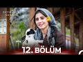 Sevdiğim Sensin 12 Bölüm 