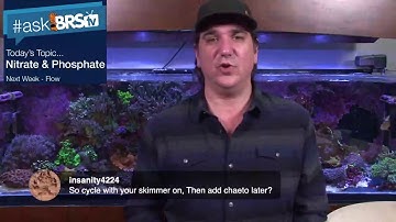 #AskBRStv LIVE Ryan answers nitrate and phosphate questions - BRS/WWC System