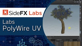 SideFXLabsツール 2.Labs PolyWire UV SOP
