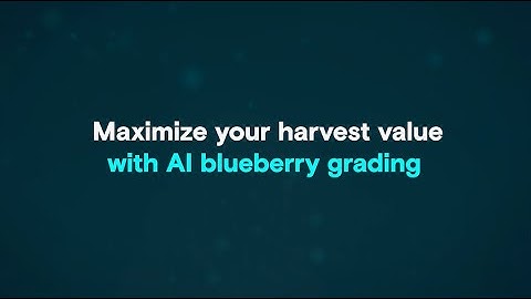 Maximize your harvest value with AI blueberry grading