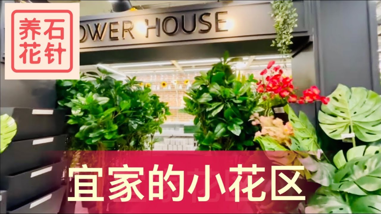 宜家ikea的卖花区 居然有让我欣喜的小东西 Youtube