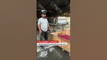 Radish Tunnel Washing Machine With High Pressure Water Spraying