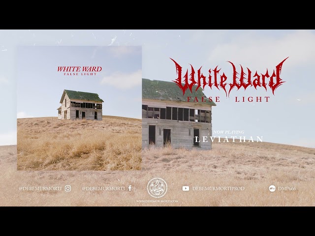 White Ward - False Light