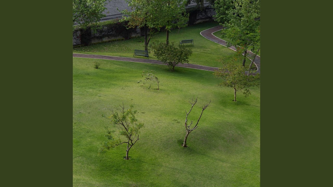 Ver Todo Lo Que Querías Saber no YouTube Ver Todo Lo Que Querías Saber no YouTube