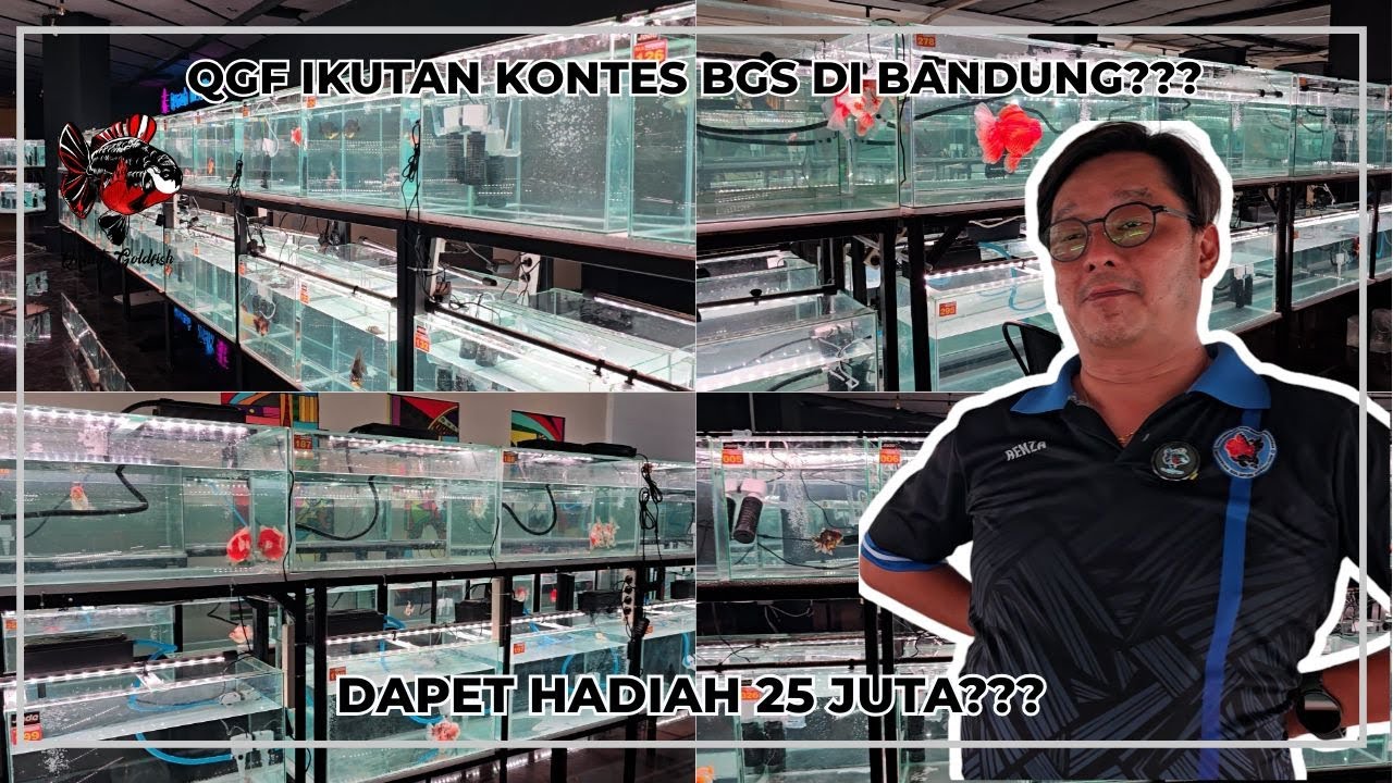 QGF IKUTAN KONTES BGS DI BANDUNG??? DAPET 25 JUTA??
