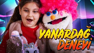 Banji̇ Yanardağ Deneyi