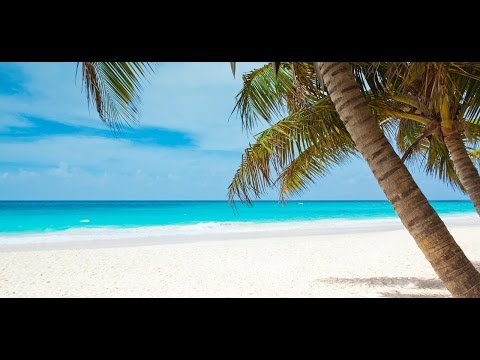 Video: Planificación de unas vacaciones con todo incluido en el Caribe