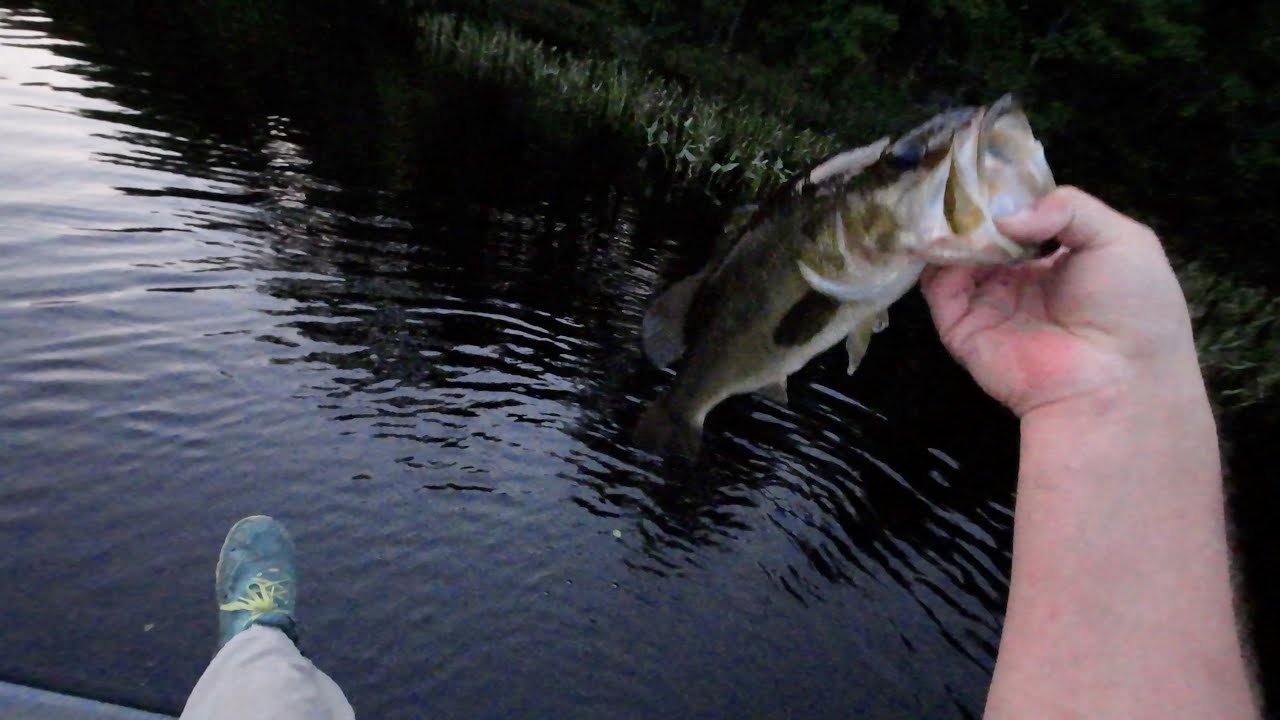 Bass fishing tenkara and fly