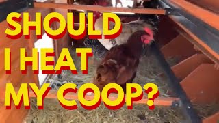DO YOU NEED SUPPLEMENTAL HEAT FOR YOUR CHICKEN COOP?