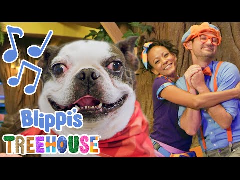 Pets | BLIPPI'S TREEHOUSE | Amazon Kids+ Original | Educational Songs For Kids