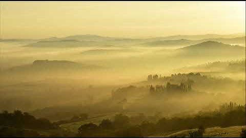 ما أجملها تلاوه هادئه تُريح القلوب | كمال أنيس