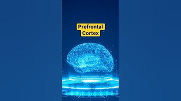 Hugging GPT: The AI Conductor That Makes Your Life Easier