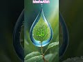 Tu Rehman Tu Rahem #shorts#status#video#islamic#youtubeshorts#viral