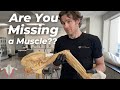 Are YOU Missing a Muscle???  | Here's a Test to Find Out!!