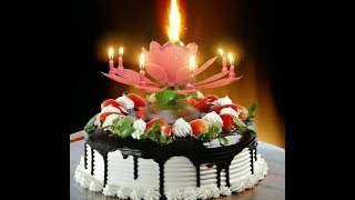 Sal bhar me sabse pyara hota hai ek din/Happy Birthday Song/ what's aap status /by juli parween