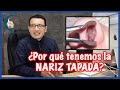 6 CAUSAS más comunes de OBSTRUCCIÓN NASAL (y como resolverlo) - PlasticFacial MX