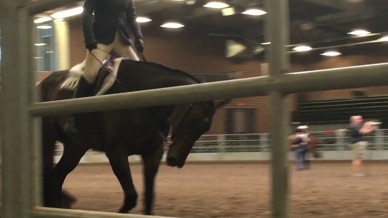 Rockin In The Irons AQHA YouTube