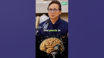 Plastic In Your Brain 🧠⚠️