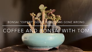 Bonsai ‘Expert’ Good Intentions Gone Wrong  Finding and Fixing Issues With A Dying Tree