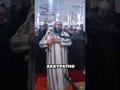 Нежданный ГОСТЬ! 🐈🕌🐾 #животные