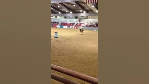 Jax equestrian