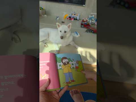 평화로운 일요일 아침, 아기와 천백이의 따뜻한 독서 시간