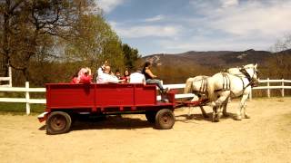 Wagon rides are offered at the farm by the river bed and breakfast with stables north Conway Nh all year long visit our website for 