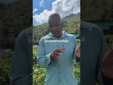 He Said Tadpoles Take Over St Elizabeth