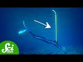 Snorkeling Physics and Safety Concepts