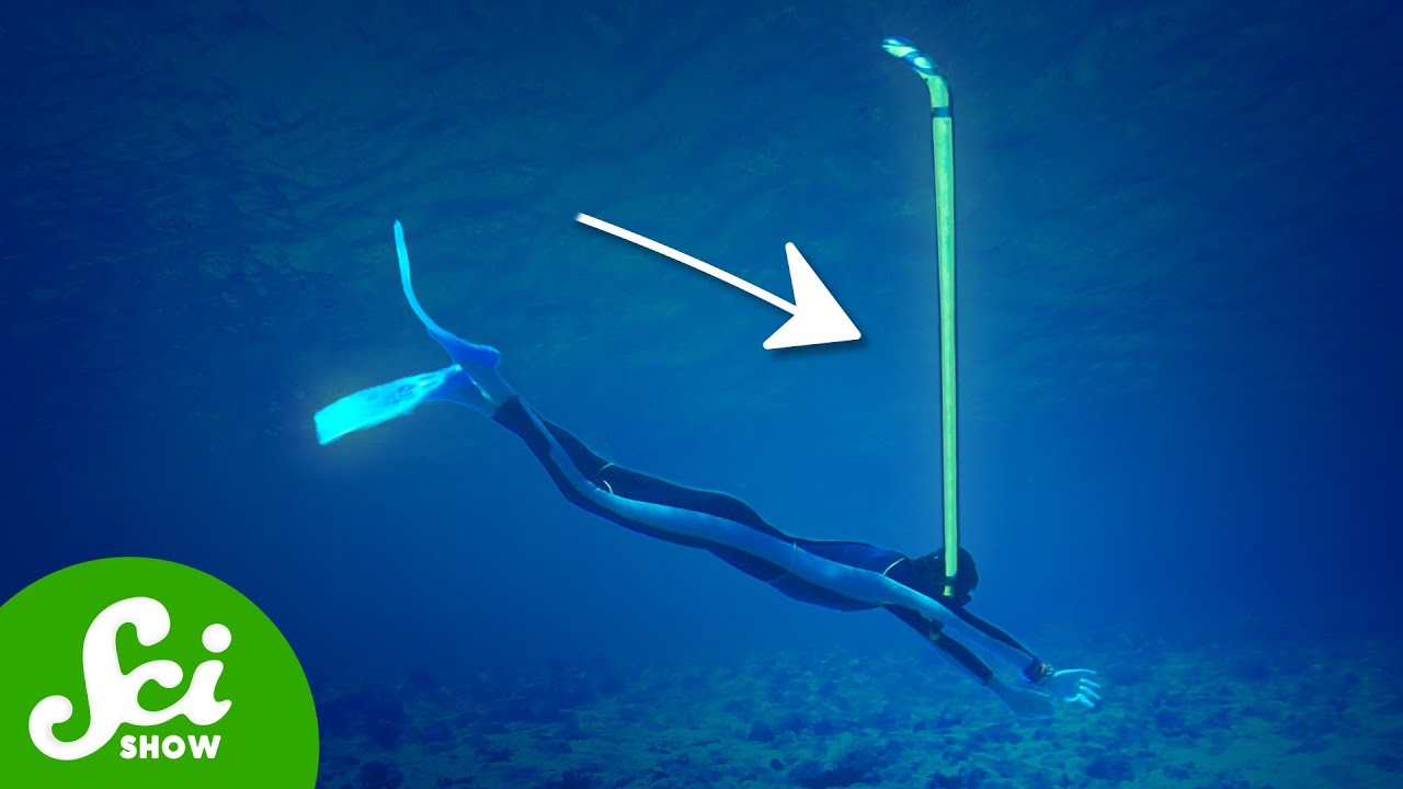 Outline Video Why Are Snorkels So Short?