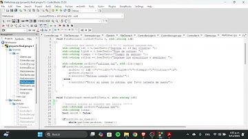 Proyecto Final Programación I