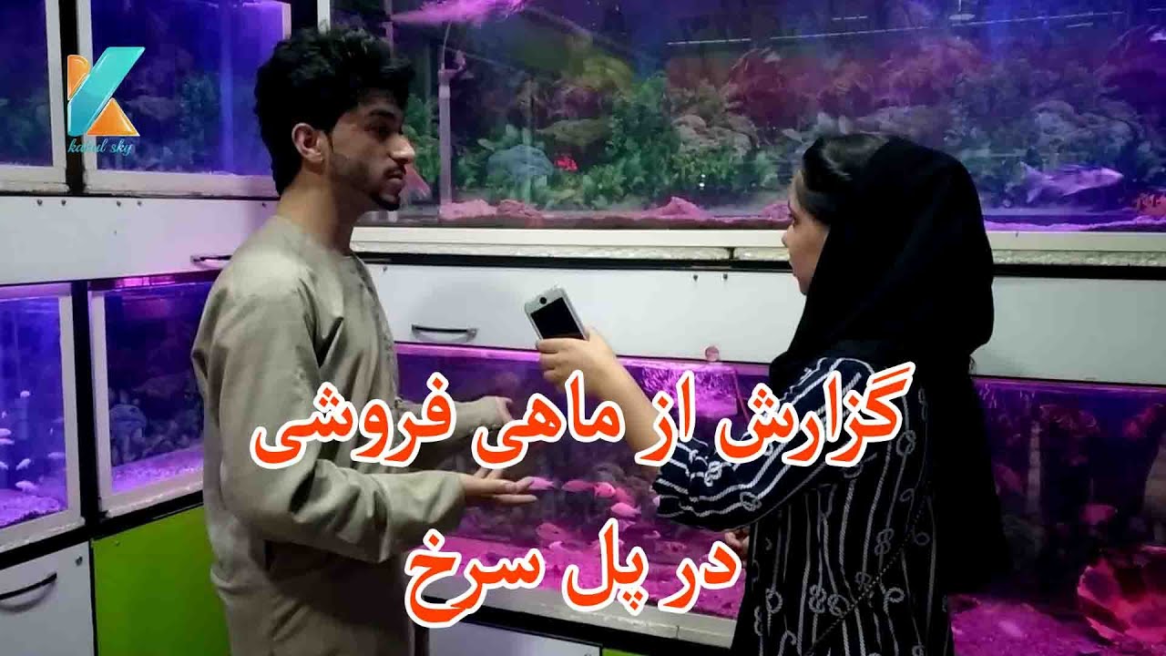 گزارش از ماهی فروشی در پل سرخ