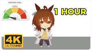 Agnes Tachyon Low Cortisol Dance 4k 1 Hour Loop  Umamusume