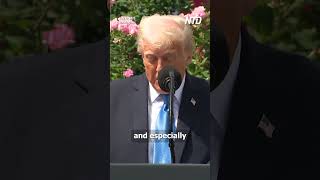 Famous New Law Targets Explicit Images, Deepfakes Profile