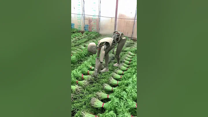 机器人干农活看起来很治愈的样子  #Ai生成视频仅供娱乐  #中国农村 - 天天要闻