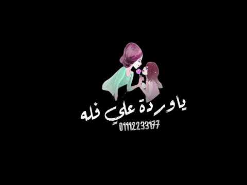 حاله واتس يوصفلي حبك انتي يا نوتيلا مهرجان انتي الحياه مسلم حودا بندق شاشه سوداء