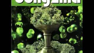 Watch Bongzilla Grog Lady video