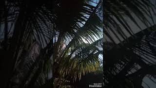 Download Lagu Kehadiranmu _ Vagetos MP3 Download Lagu Kehadiranmu _ Vagetos MP3