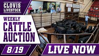 Eastern New Mexico Wednesday Cattle Trade | Clovis Livestock Auction Inc. — 8/19/26
