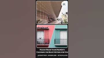 Pigeon Proofing Your Property? This is the Netting You Need. Birds net for balcony