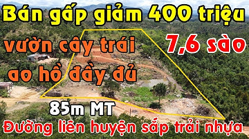 Giảm mạnh 400 triệu bán gấp 7649m2 đất vườn giá rẻ đủ cây trái & gỗ sưa, 85m mặt đường tại Lâm Đồng