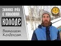 🐝 Зимовка пчёл в наклонной колоде. Конденсат. Часть 1 | #Стрелёнки