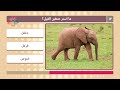 برنامج تحدي الأسئلة اسماء صغار الحيوانات لعبة مسابقات واختبارات وألغاز برنامج تحدي الأسئلة اسماء صغار الحيوانات لعبة مسابقات واختبارات وألغاز